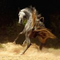 /album/fotogaleria/image-1-jpg/